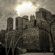 Central Park NYC © Rebekka Kaufmann